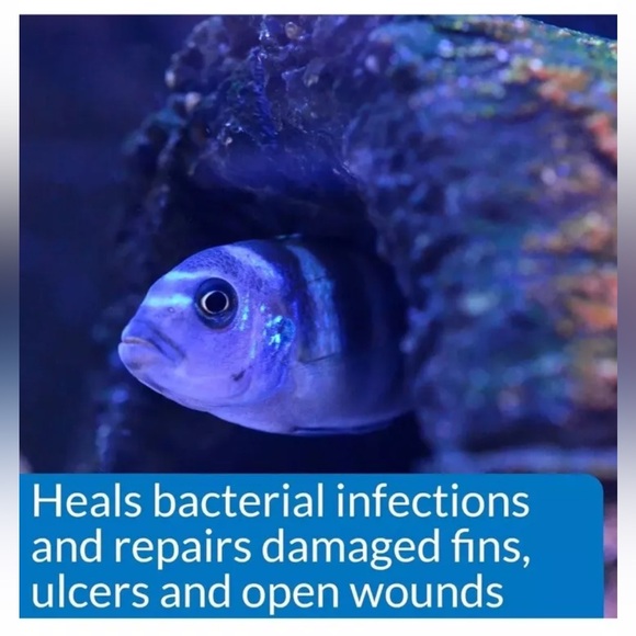 🐠6 Bottles API Melafix Freshwater Fish Infection Remedy🐠‎ 4 oz - Picture 6 of 6